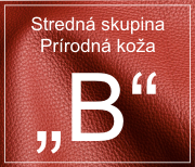 Skupina B