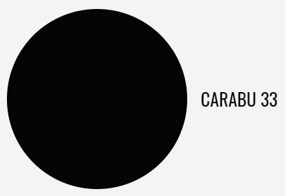 PORTI 81, dub antický, Carabu 33